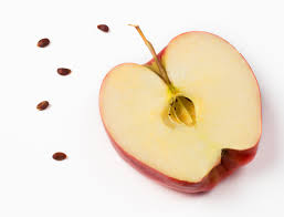 Apple seeds