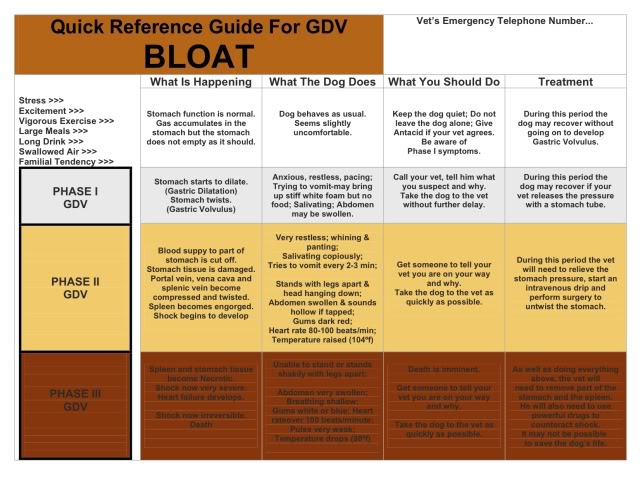 Reference_Guide_Bloat_GDV