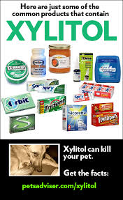 Xylitol