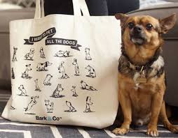 Dog and bag