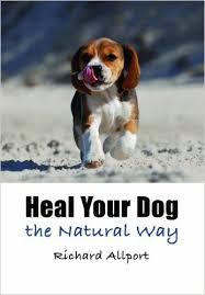 Heal your dog