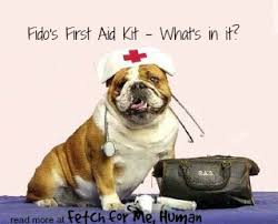 First aid 1